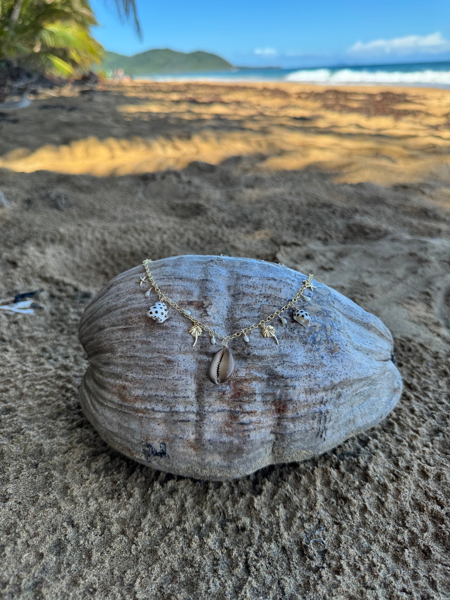 Haleʻiwa