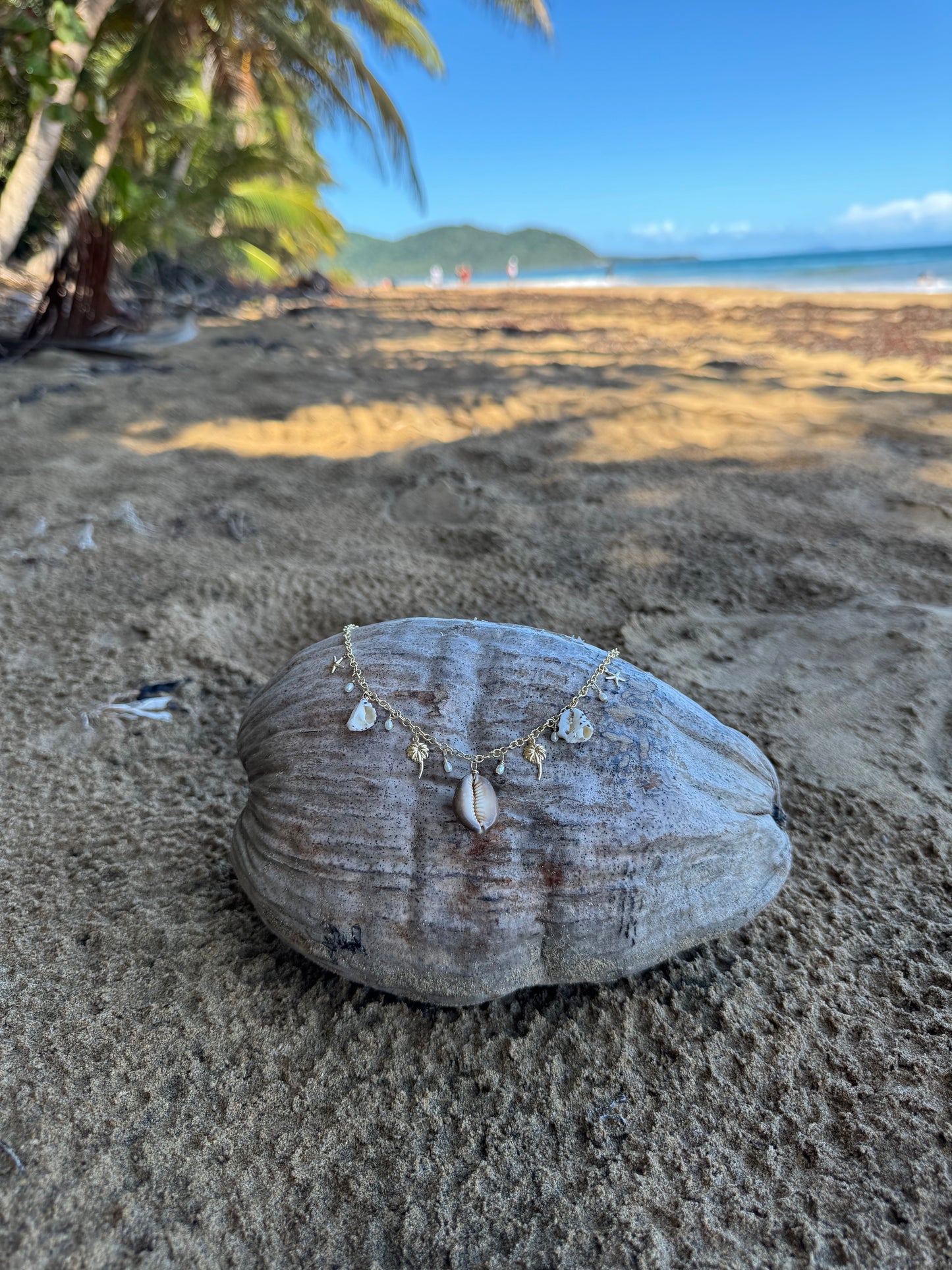 Haleʻiwa