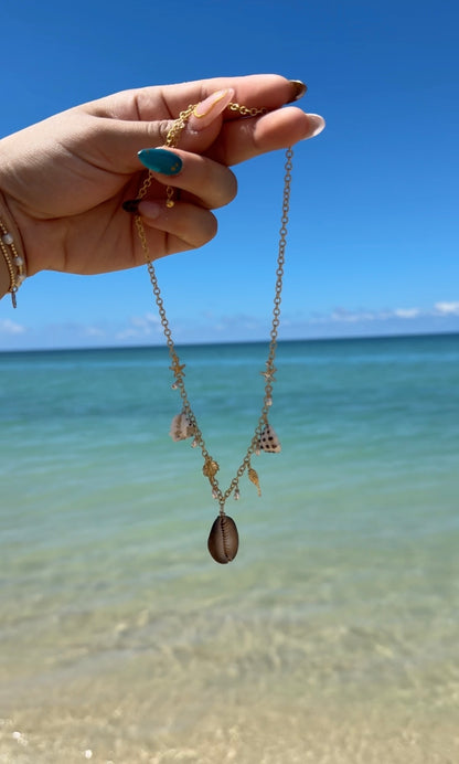 Haleʻiwa